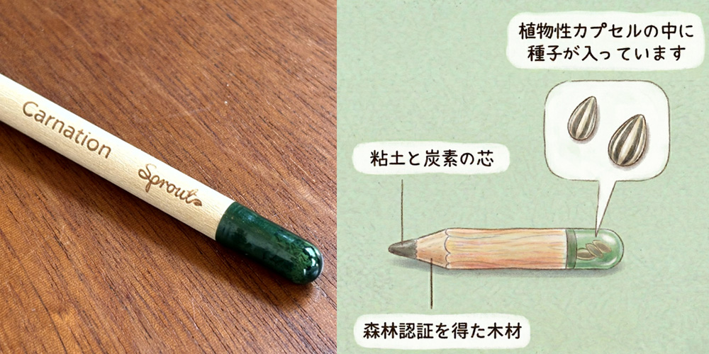 八ヶ岳倶楽部オリジナル「芽が出る鉛筆」