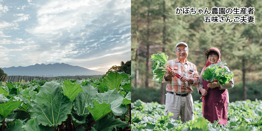 八ヶ岳倶楽部｜ルバーブジャム