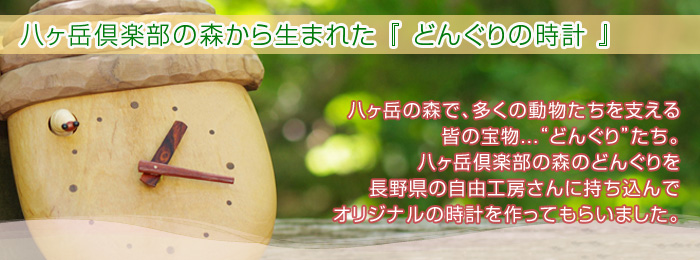 どんぐり時計 バナー
