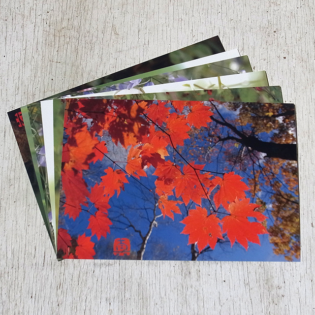 やぎゅうしんご森のポストカード「秋」