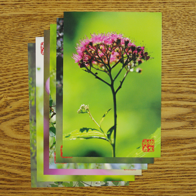 やぎゅうしんご森のポストカード「木の花」