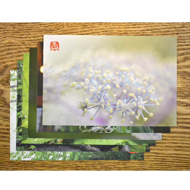 やぎゅうしんご森のポストカード「初夏」