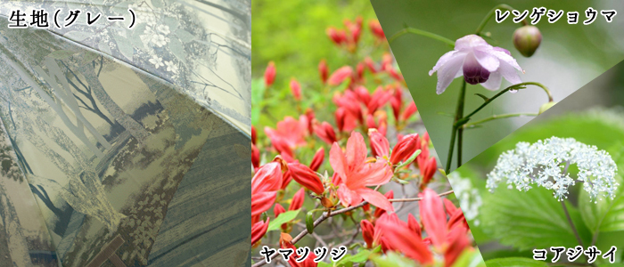槙田商店 傘 晴雨兼用 八ヶ岳の森